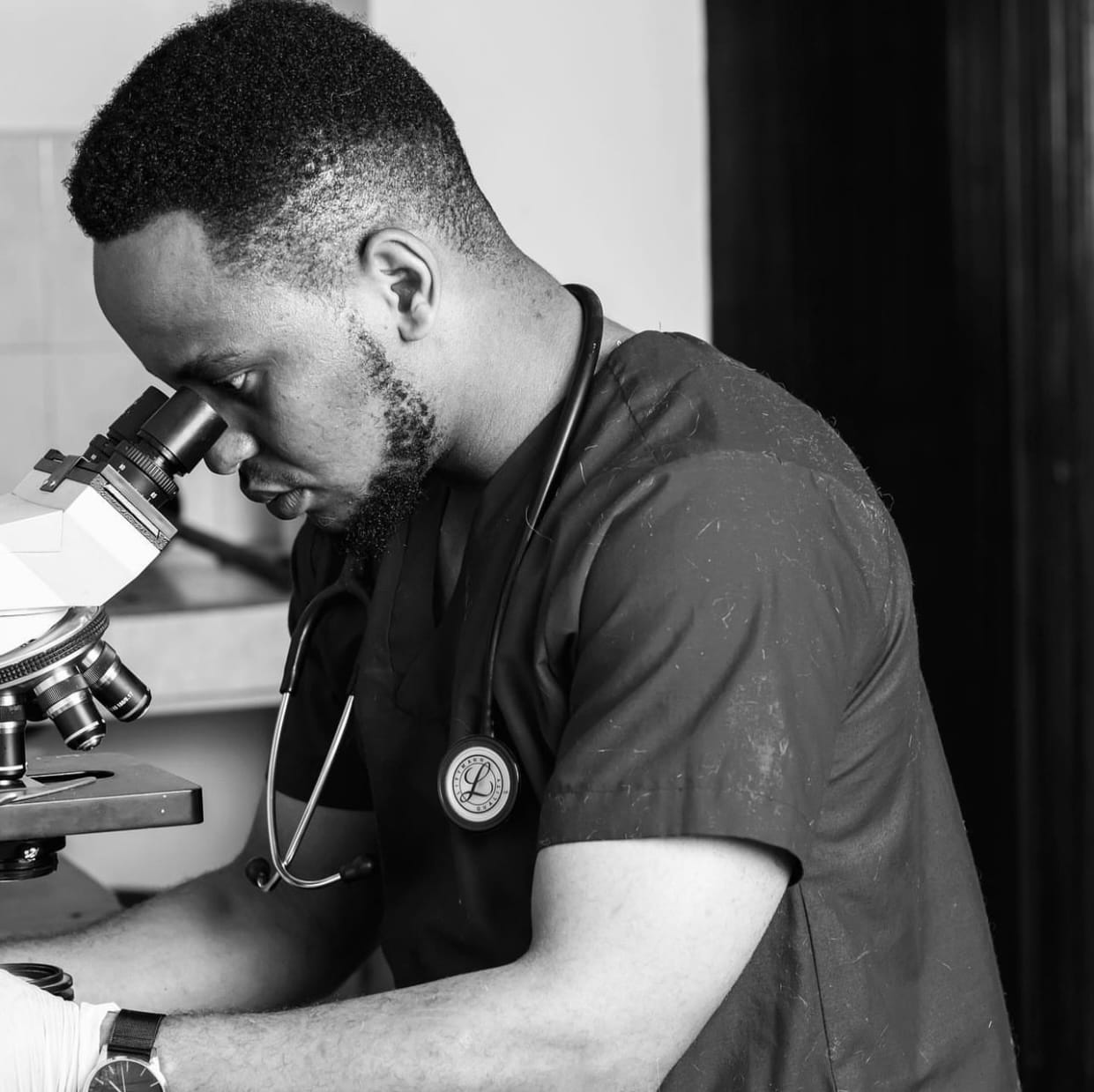 Advanced veterinary diagnostic imaging equipment in use