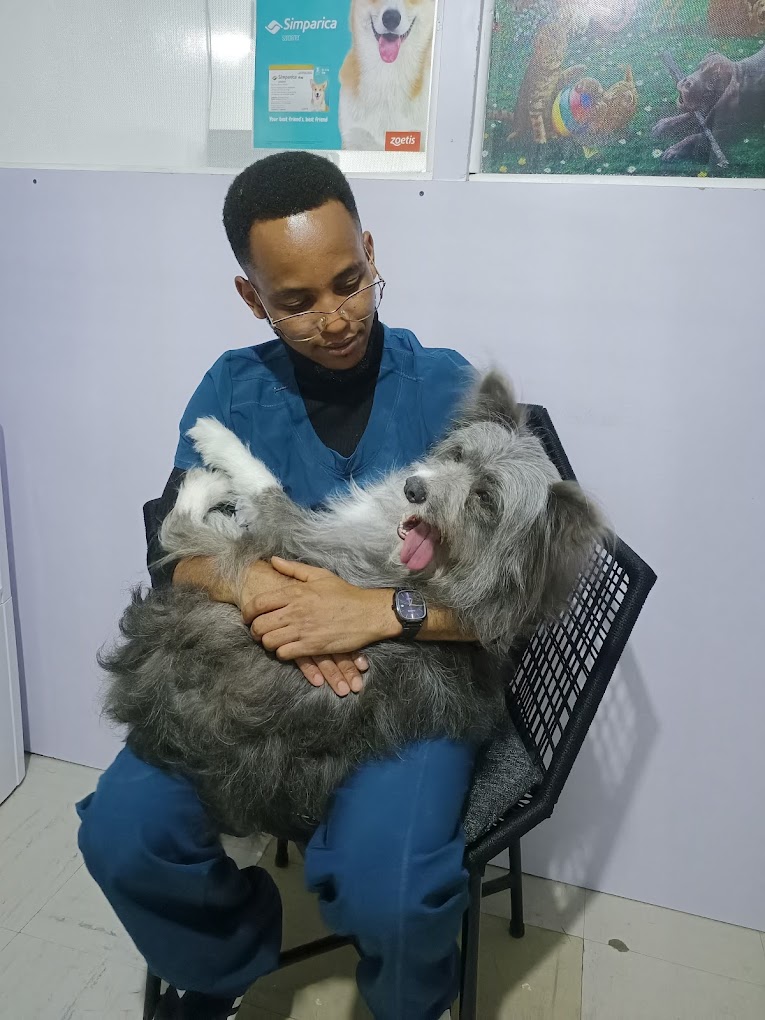 Happy dog with vet during examination