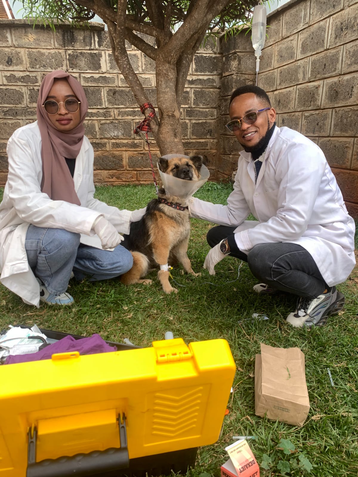 Veterinarian providing in-home pet care