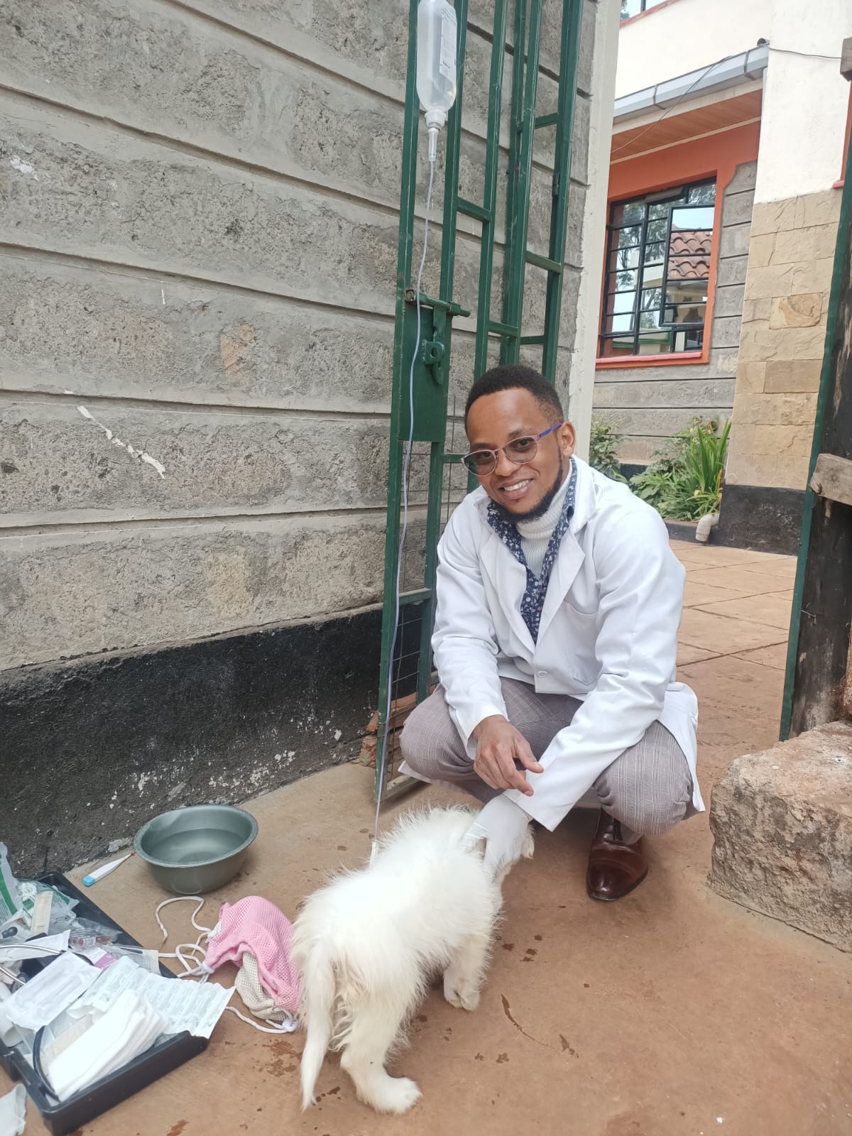 Veterinarian conducting home visit examination