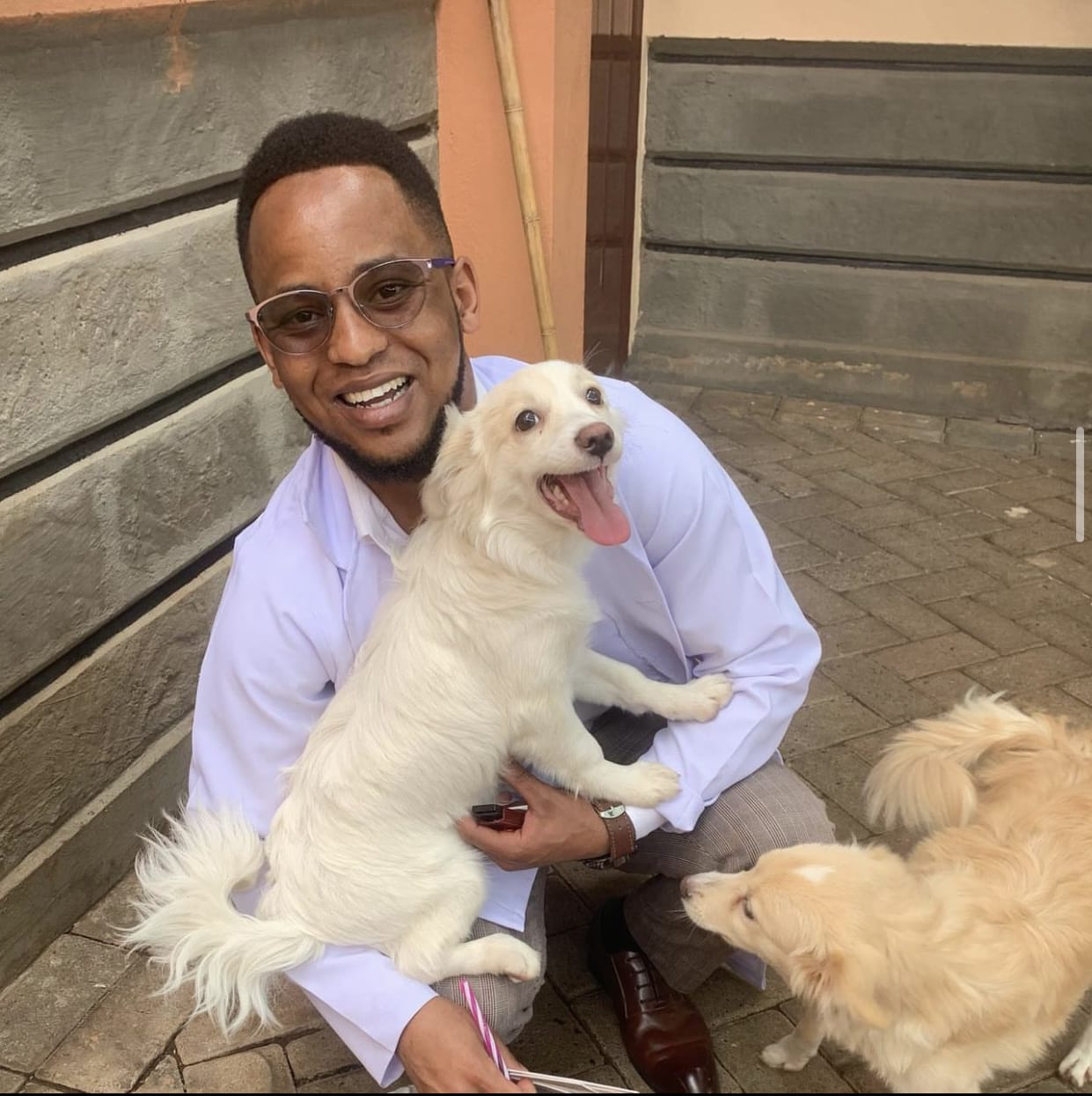 Veterinary team providing comprehensive pet care